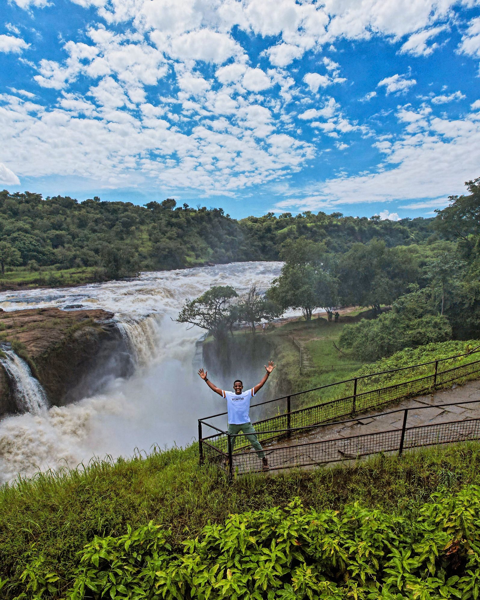 Majestic Waterfalls